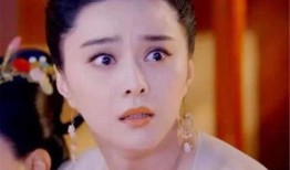 爆料女明星逃税事件视频,女明星逃税事件视频曝光，税务问题引发行业地震