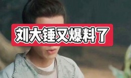 刘大锤最新爆料封面,最新爆料封面背后的惊人真相